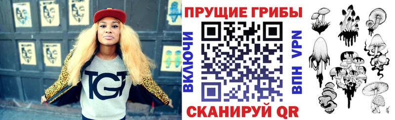Псилоцибиновые грибы Cubensis Алексин